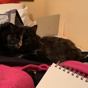 Meet your Posher, Tim